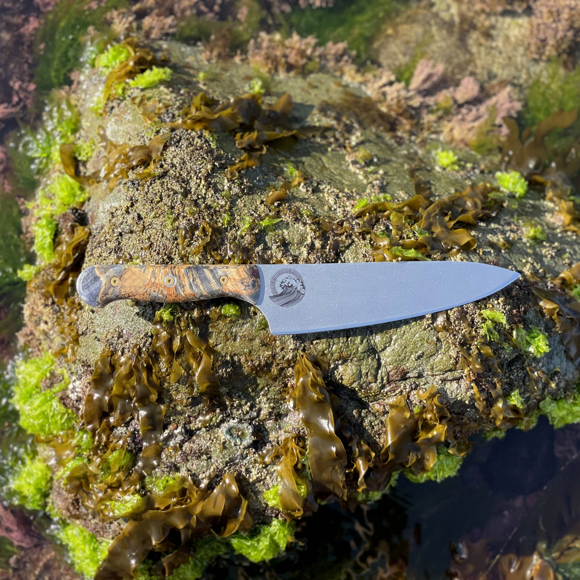 Messermeister Custom Ocean Chef's Knife with a decorative handle on a rock  with seaweed surrounded by water