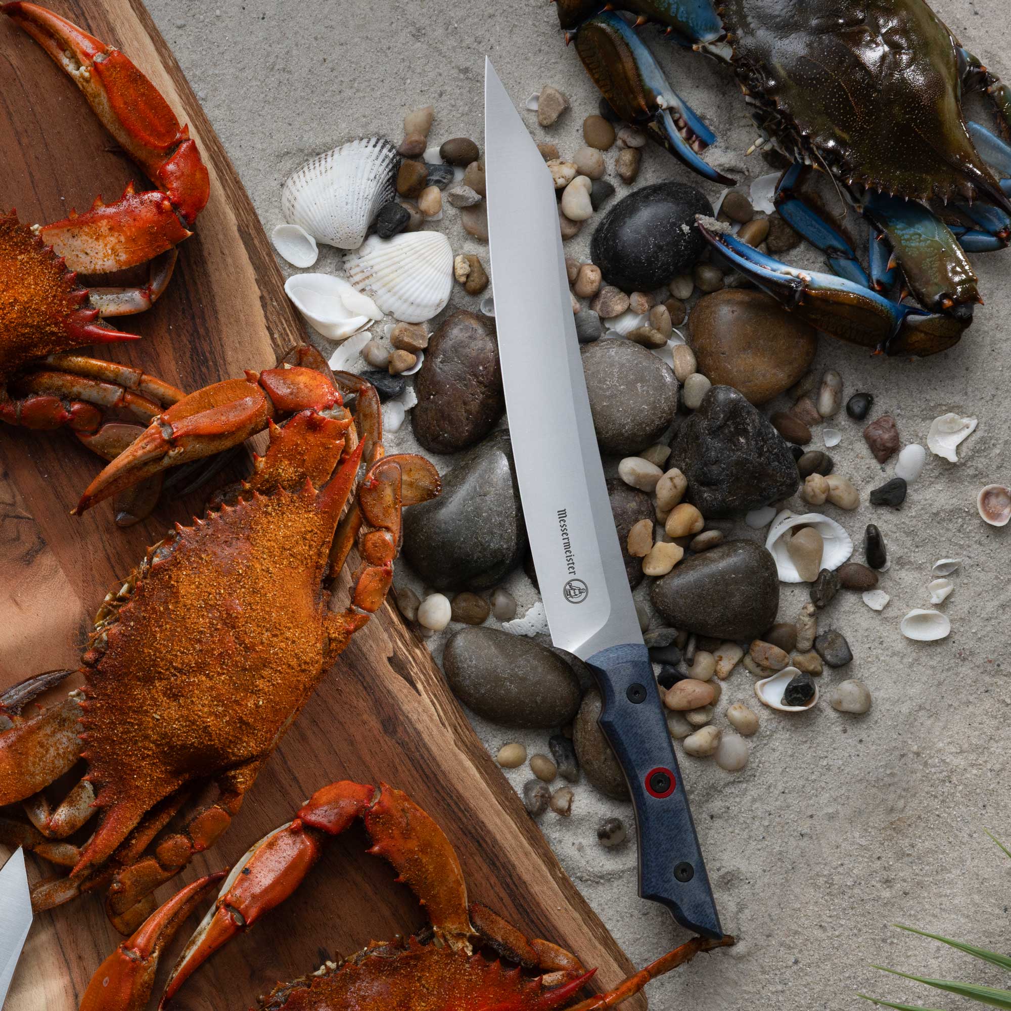 INR x Messermeister Slicer - 9" - on top of pebbles and sand next to a crab