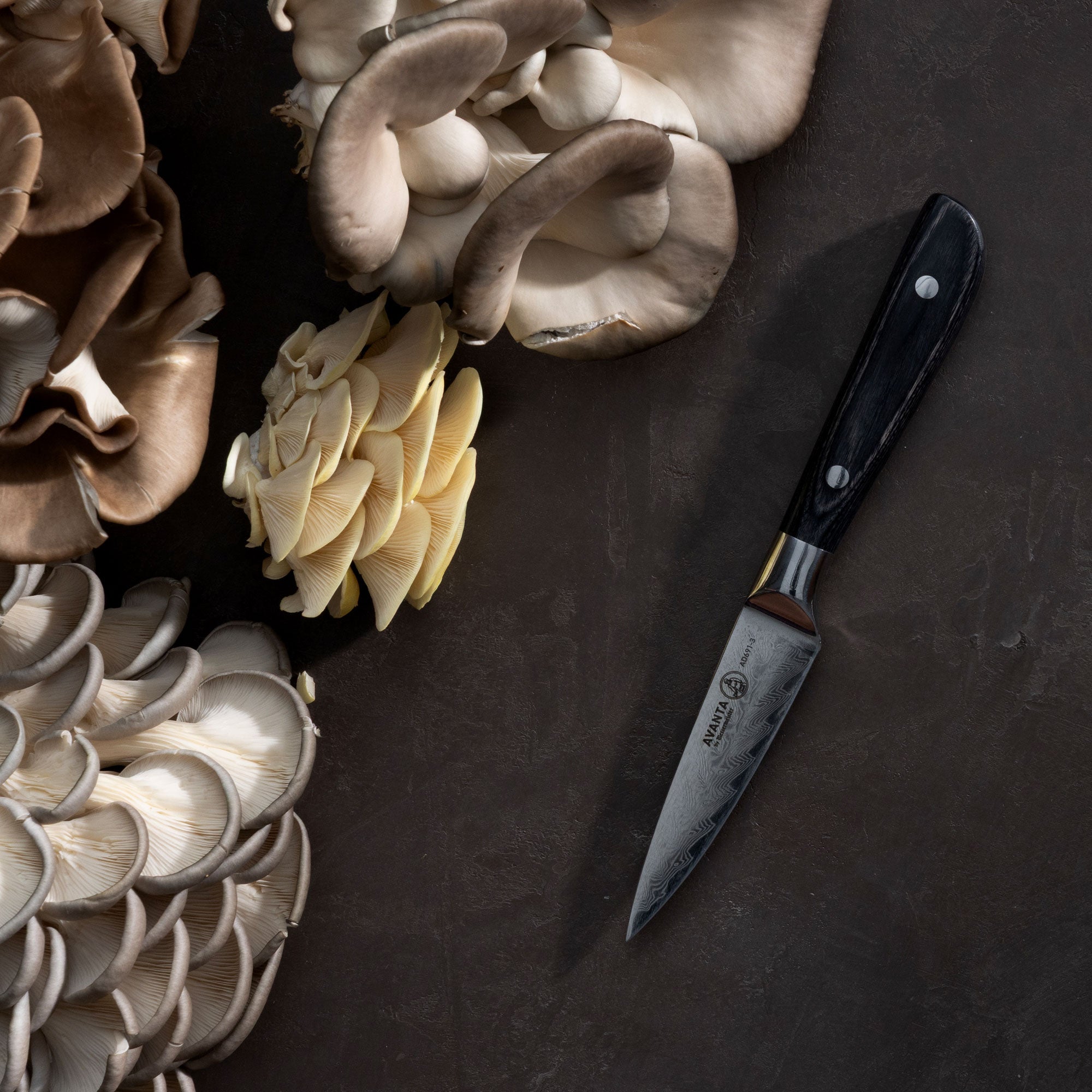 Messermeister Avanta Damascus Paring Knife next to a collection of mushrooms on a dark brown surface