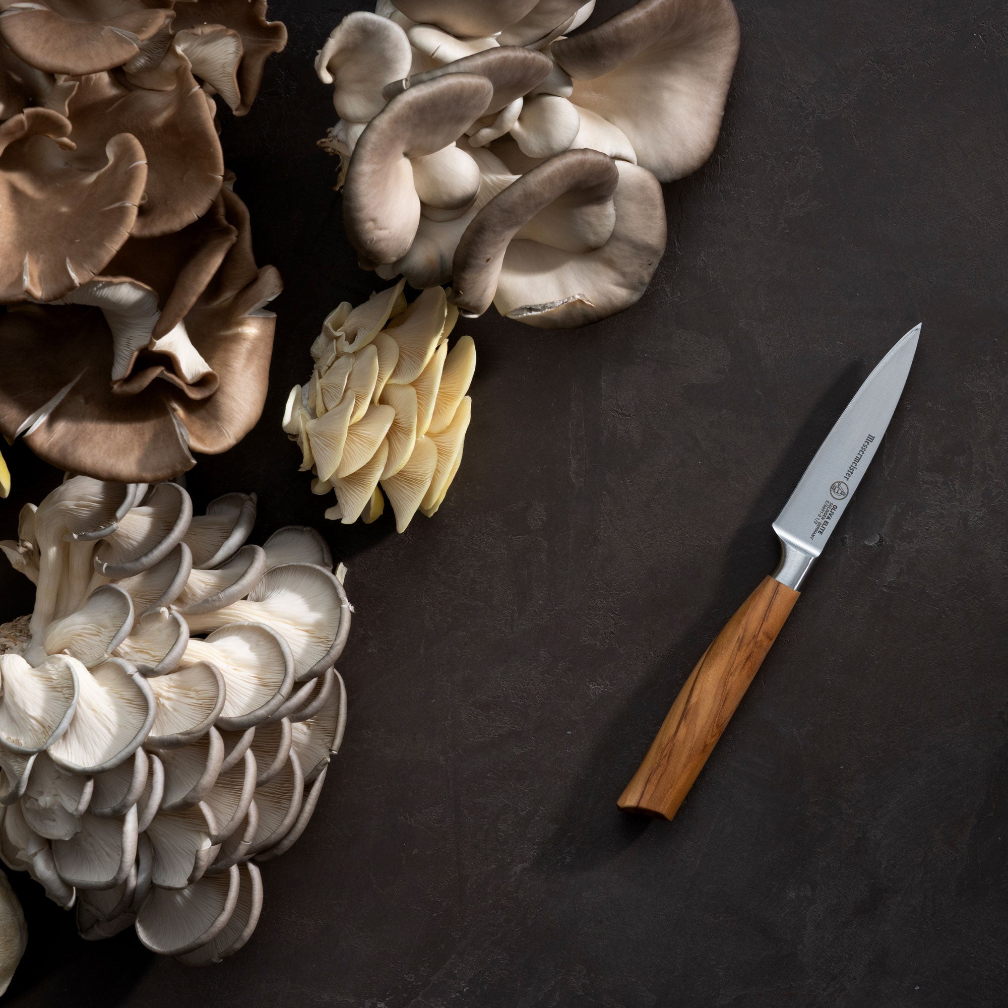 Assorted mushrooms and a Messermeister Oliva Paring knife on a dark surface