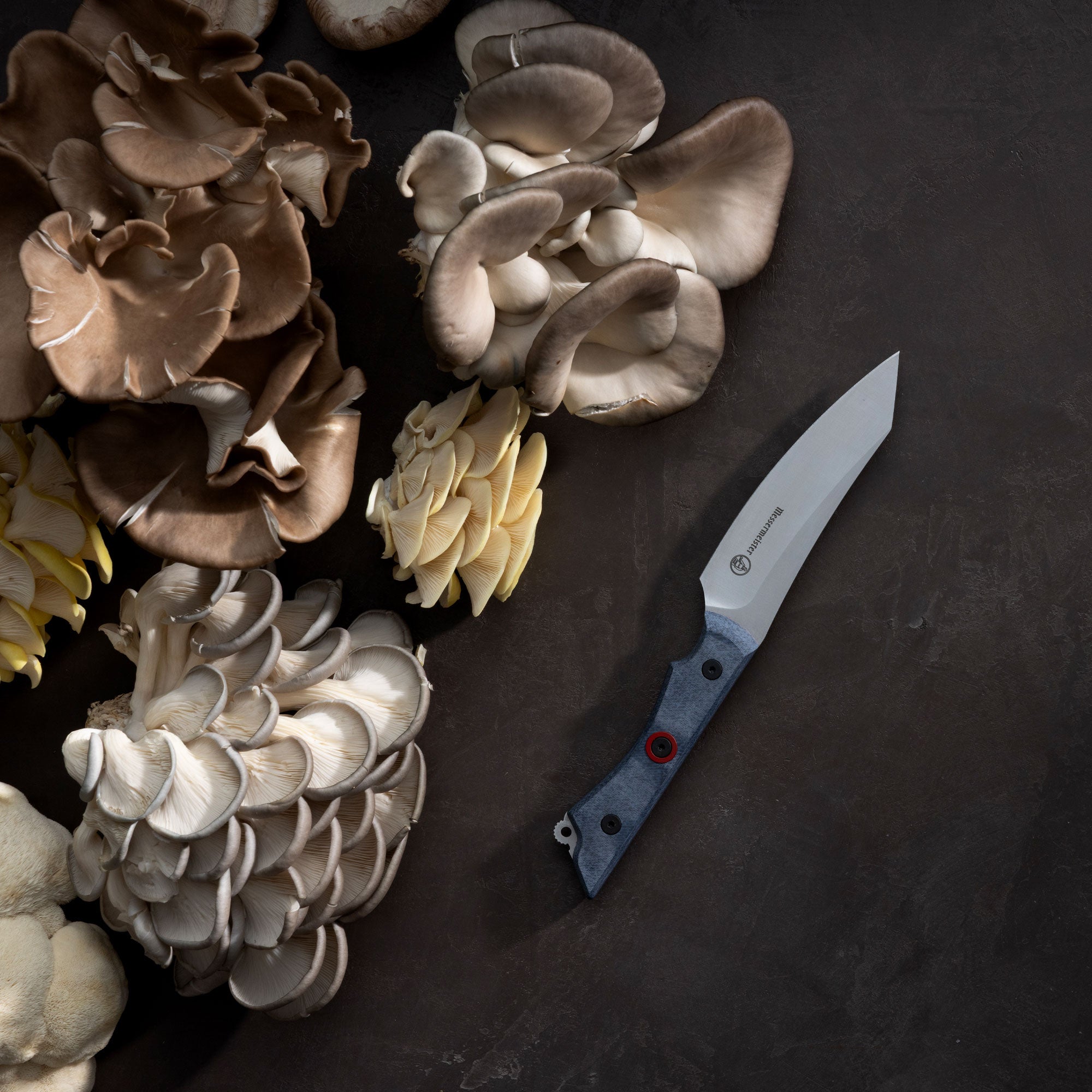 Messermeister Overland Chef Field and Flame Utility knife on a dark surface surrounded by various gourmet mushrooms.