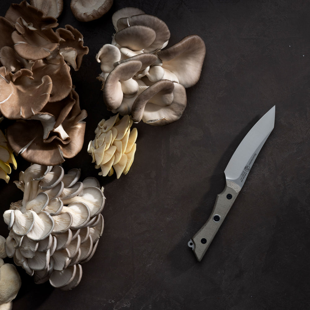 Assorted mushrooms on a dark surface with a Messermeister Overland Chef Utility knife.