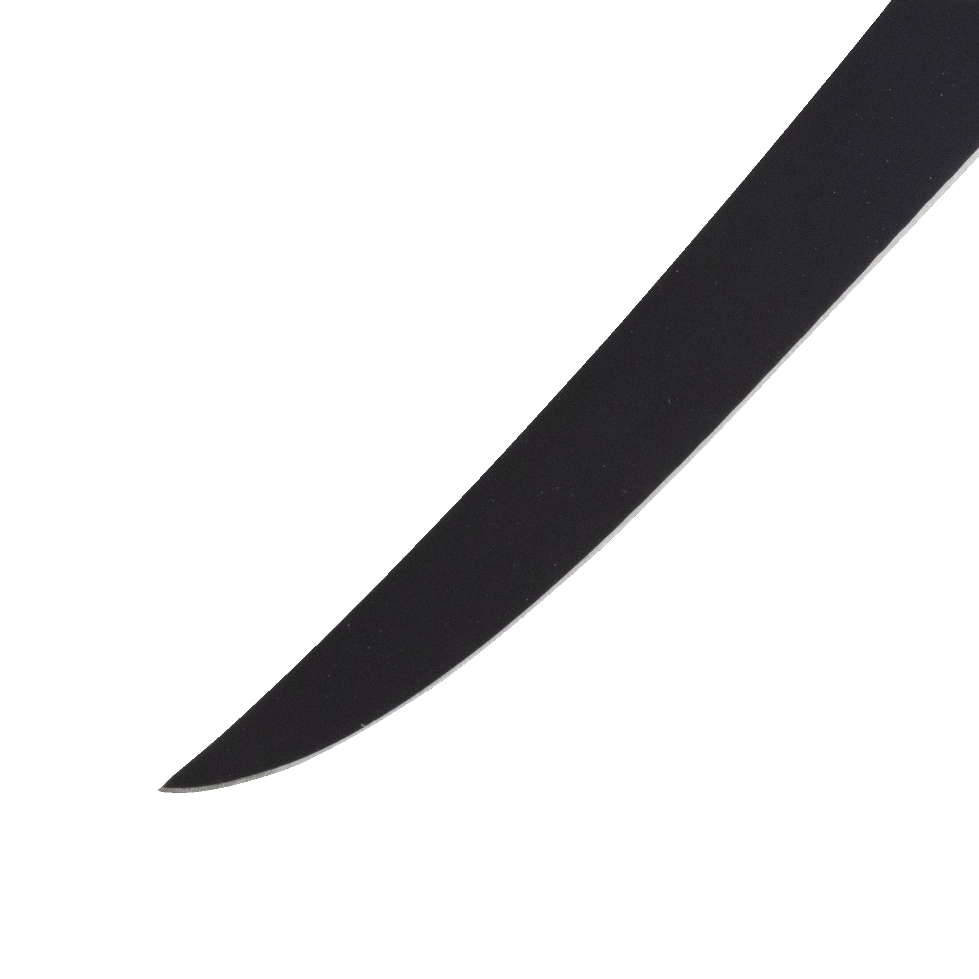 Messermeister Avanta Kendrick BBQ Fillet Knife close up of sleek black blade and silver edge finish