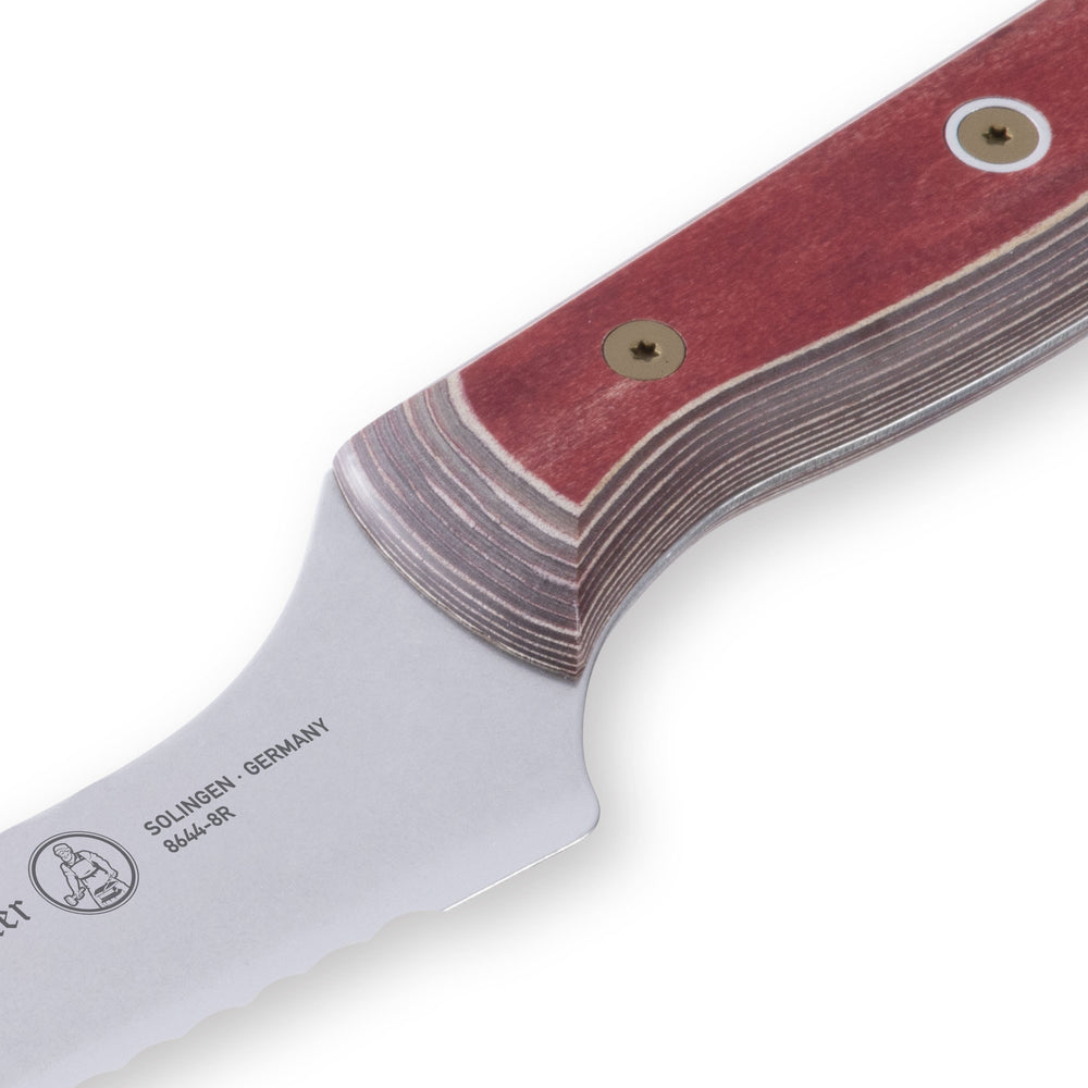 Close-up of the heel of an 8-inch Messermeister Custom Red scalloped offset knife, showing the thick base of the serrated stainless steel blade meeting the red ergonomic handle