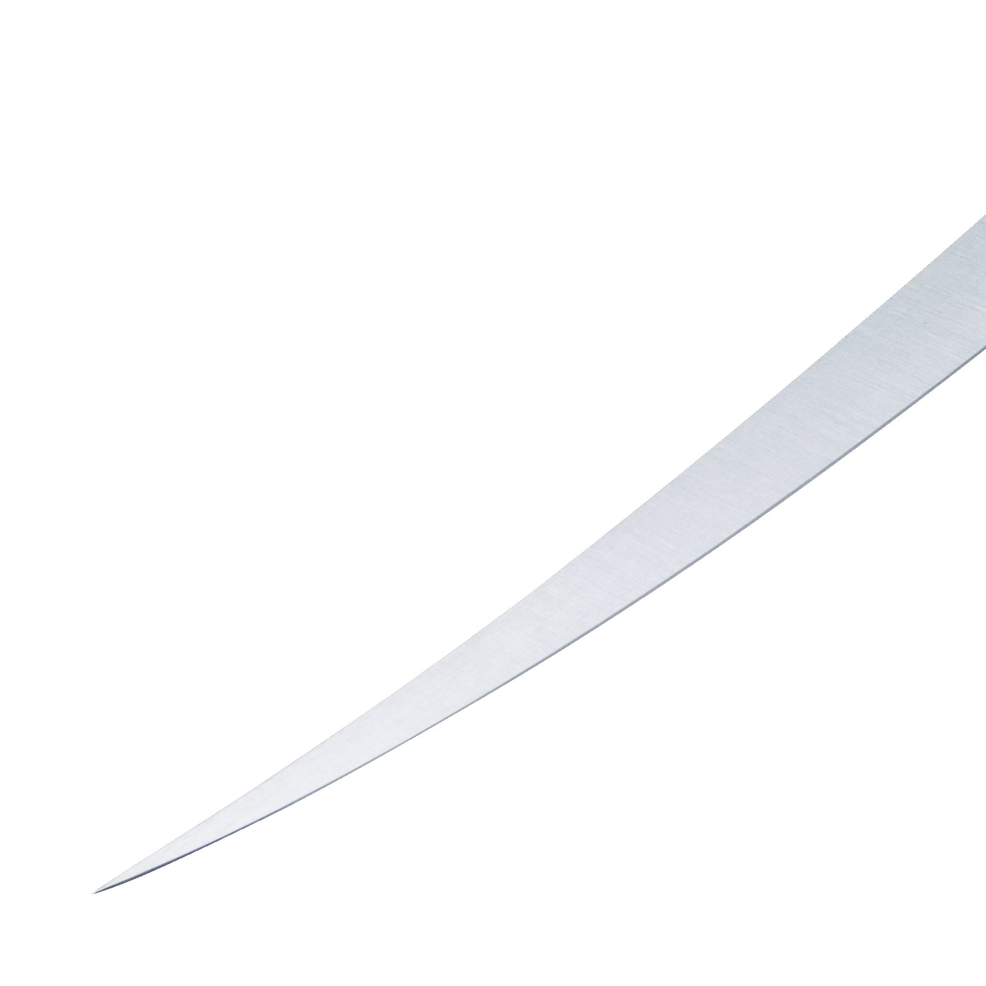 close up of the blade and tip on the overland filet knife 