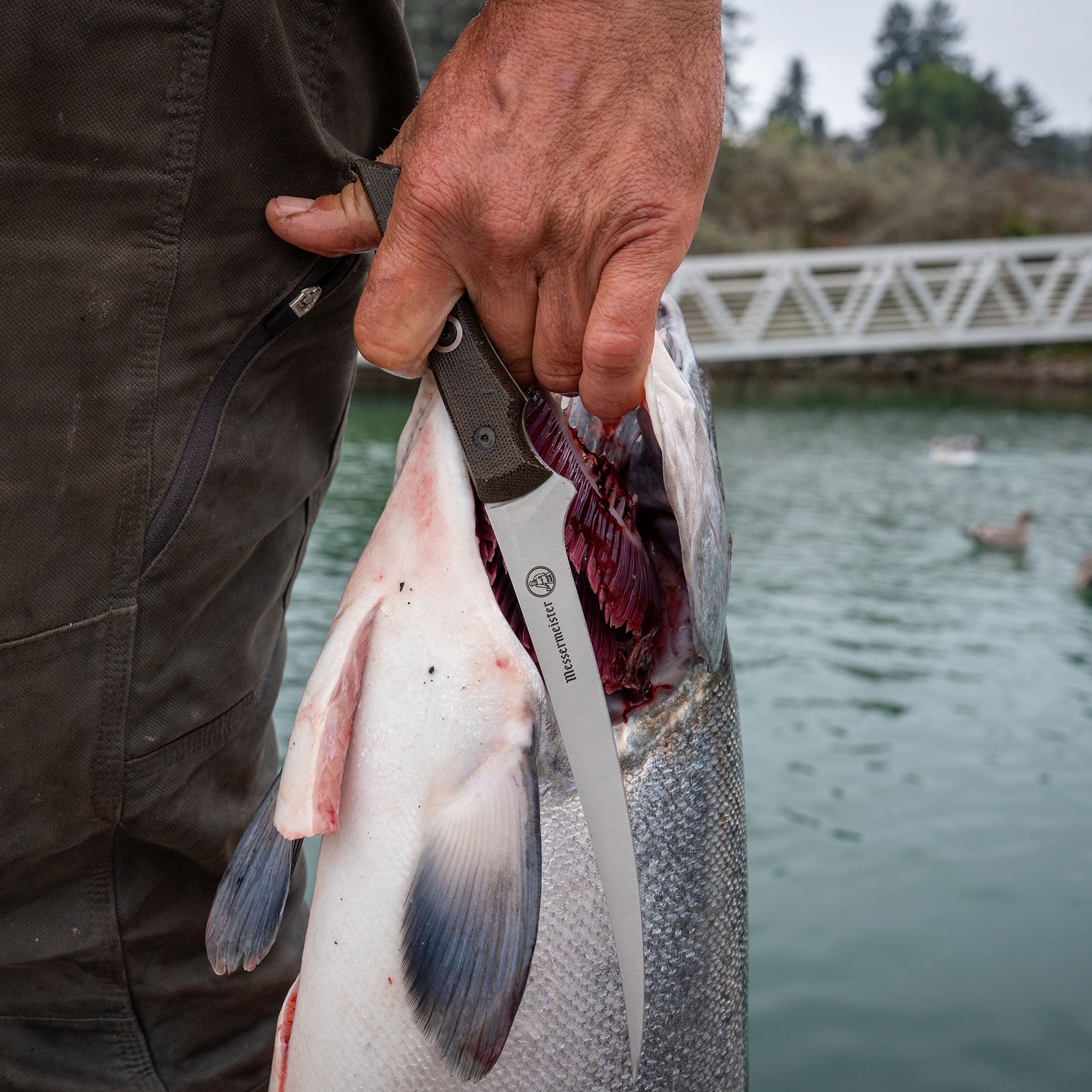 overland filet knife being held with a fish
