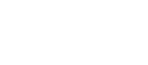 Viking Brand Logo