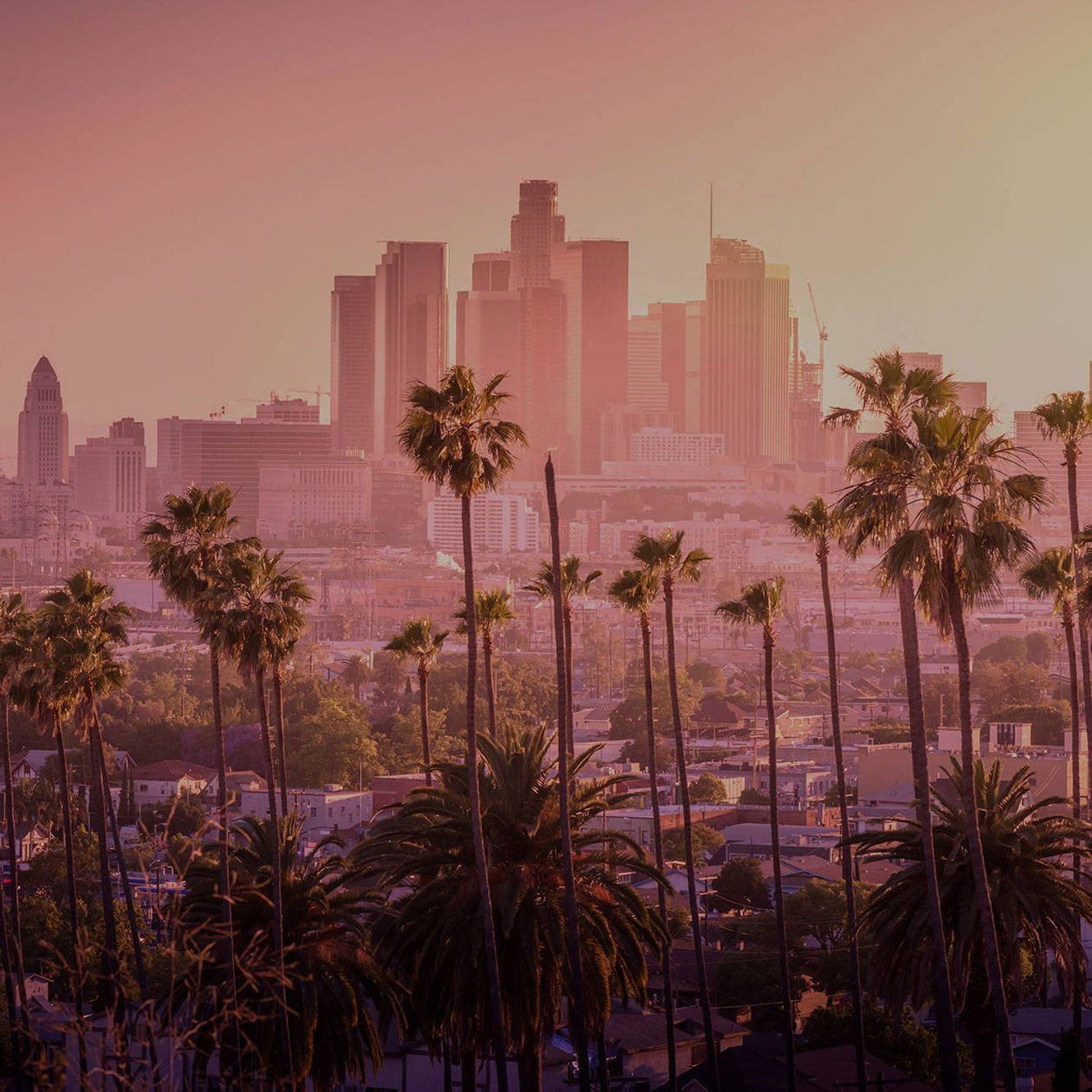 Los Angeles city skyline with palm trees in the foreground during a pink sunset.