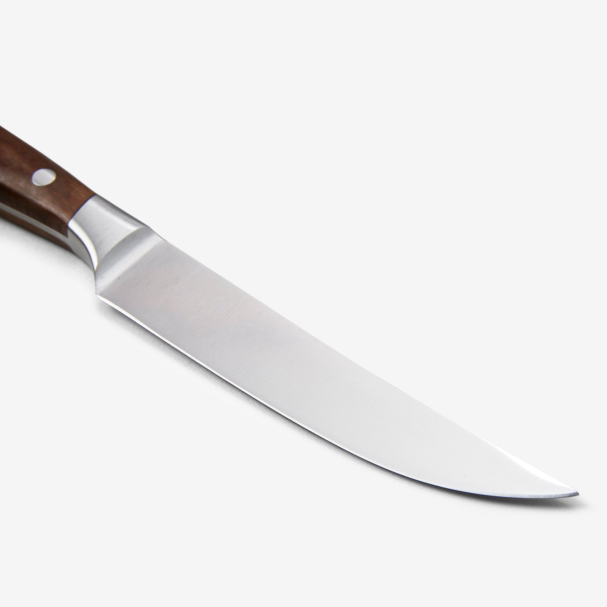 Messermeister Avanta Fine Edge Steak Knife Set, 4-Piece, Pakkawood Handle