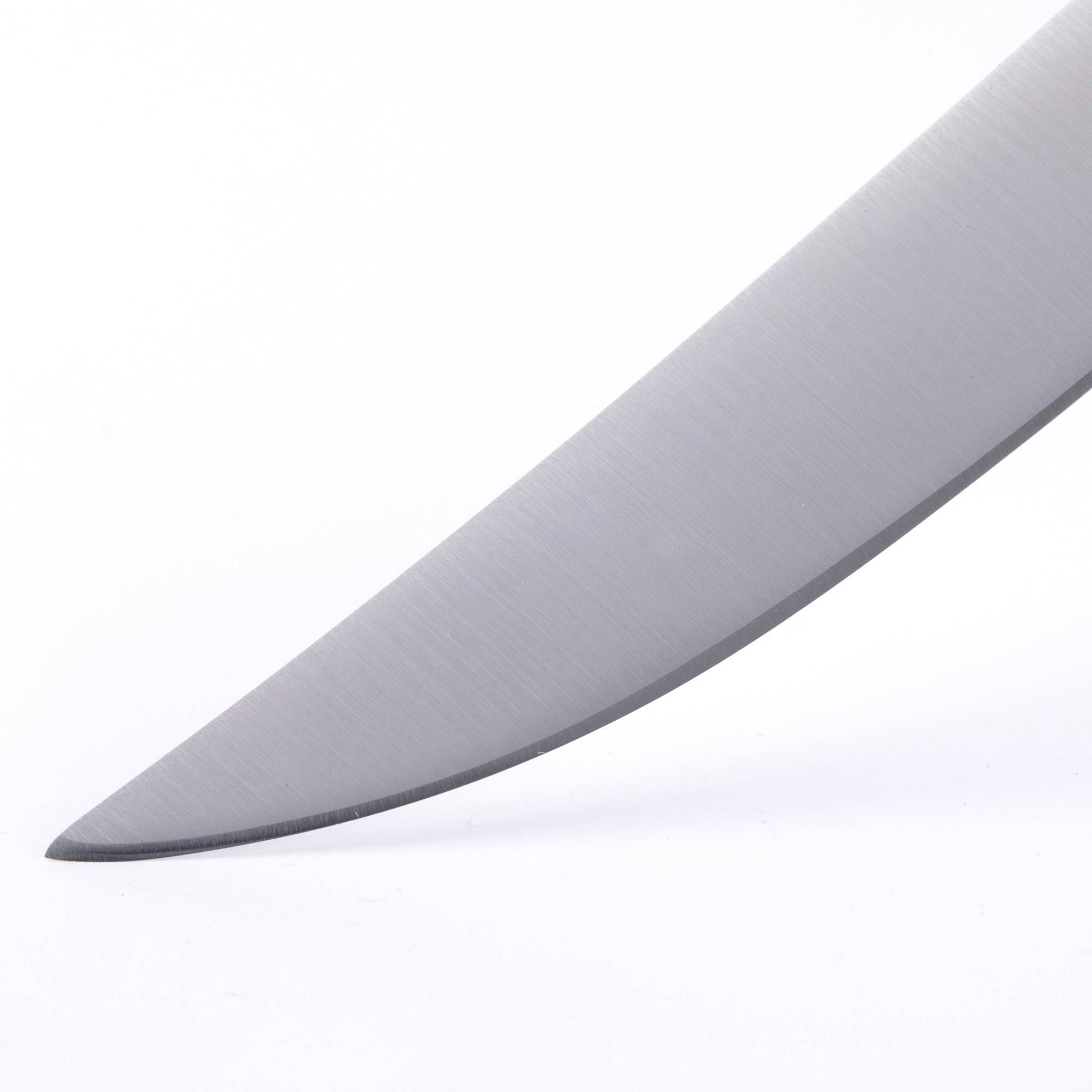 Messermeister Avanta steak knife stainless steel blade close-up showing polished edge